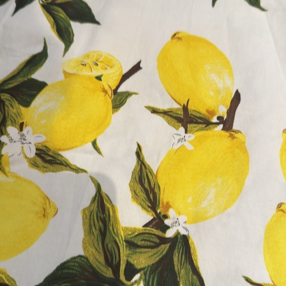 NWOT A-line Women’s Lemon Tea Party Dress, Size M - Picture 3 of 5